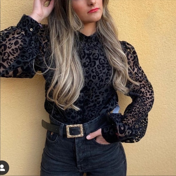 Zara NWT organza blouse - Picture 4 of 10